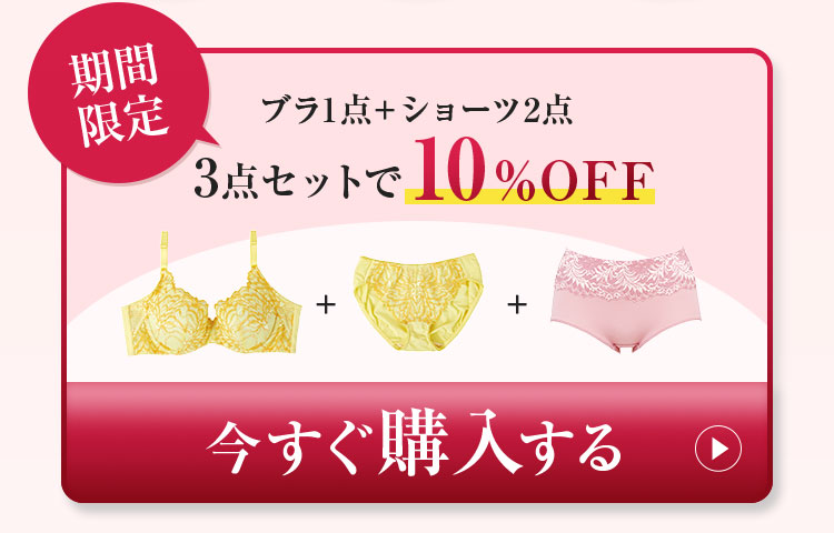 期間限定 ブラ1点＋ショーツ2点 3点セットで10%OFF 今すぐ購入する