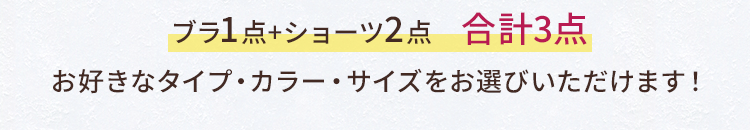 ブラ1点+ショーツ2点　合計3点 お好きなタイプ・カラー・サイズをお選びいただけます！