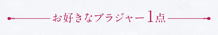 お好きなブラジャー 1点