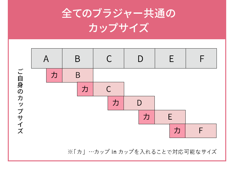 全てのブラジャー共通のカップサイズ